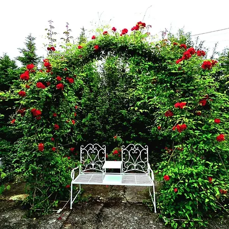 招待所 Palacyk 3*